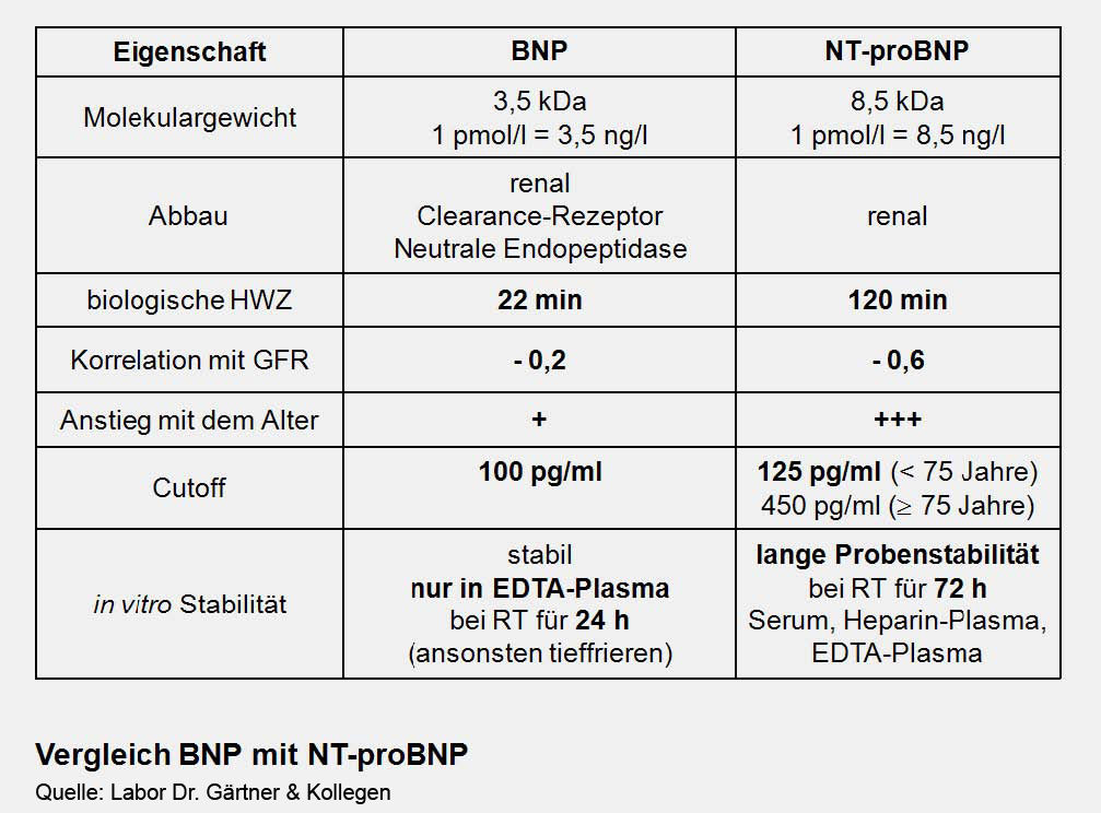 Vergleich_BNP_NT-proBNP.jpg